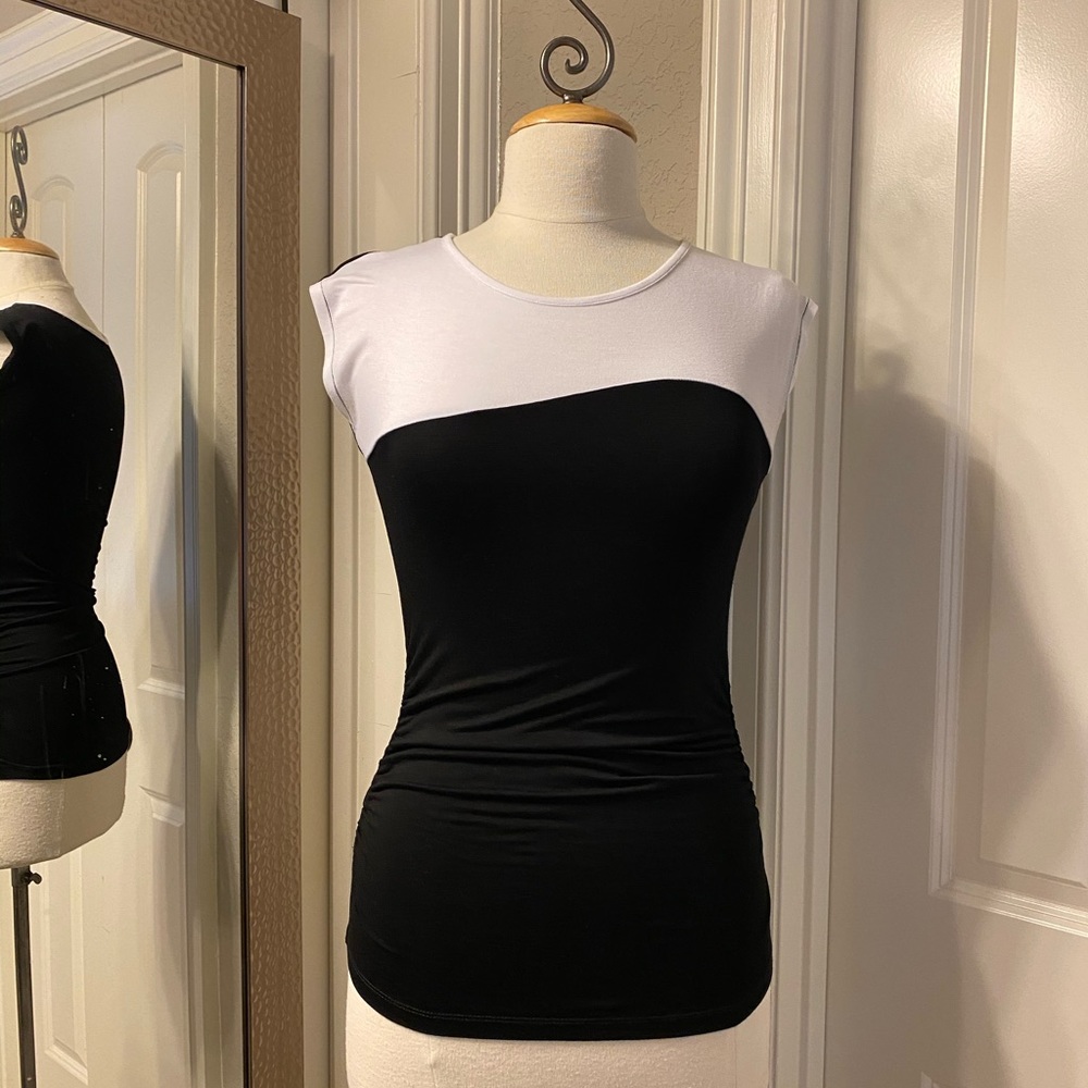 The Limited Top - image 2